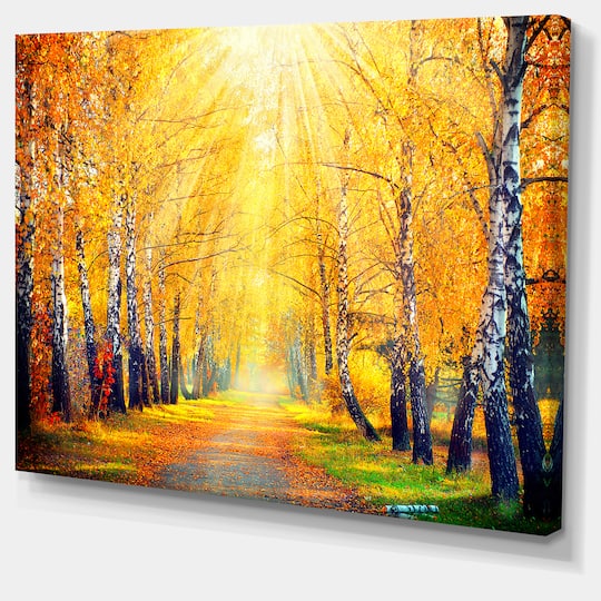 Designart - Yellow Autumn Trees in Sunray